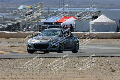 media/Oct-12-2024-Lucky Dog Racing (Sat) [[592b3fc642]]/Stint 2 From (1215pm to 140pm)/8-Turn 2/